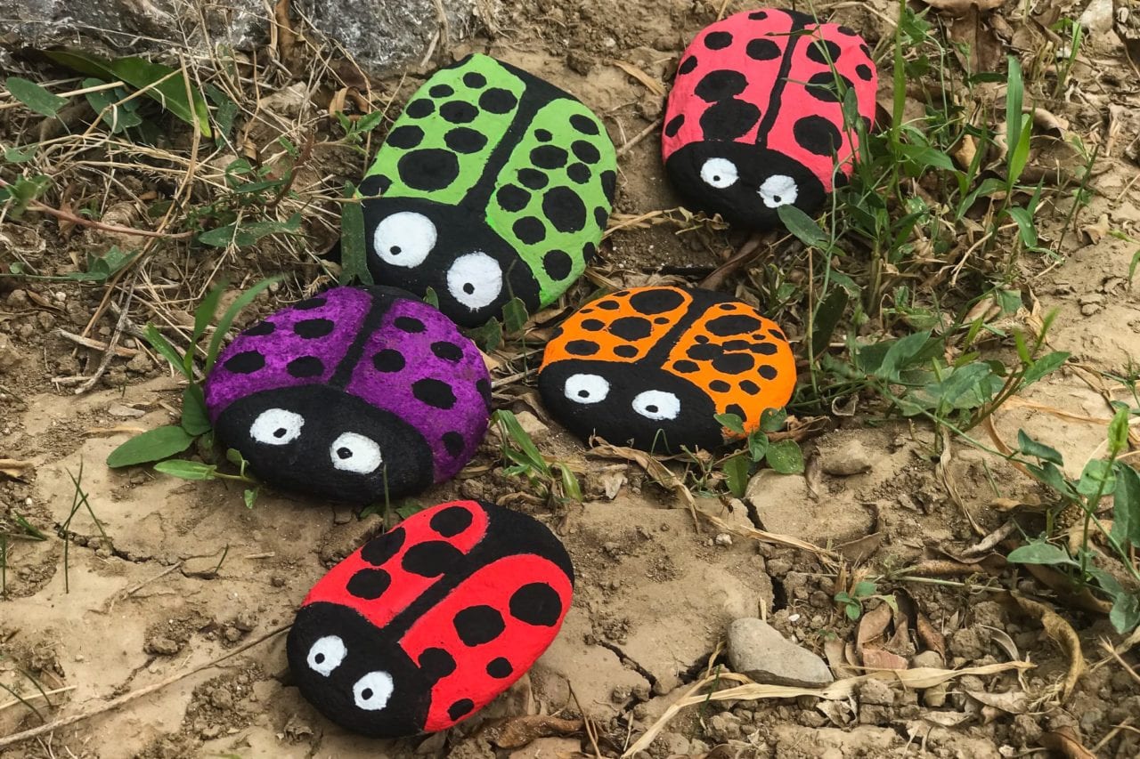 Rock Craft - Ladybird Pebbles - End Result Out in the Garden