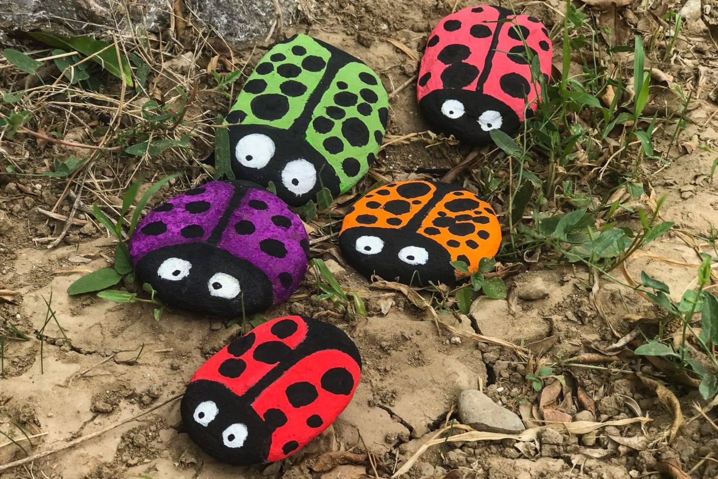 Ladybird Pebbles – Fun Rock Craft image