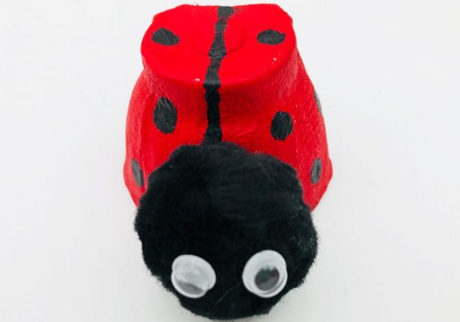 Kids Crafts Ladybird Egg Cups step 3 add ladybird faces
