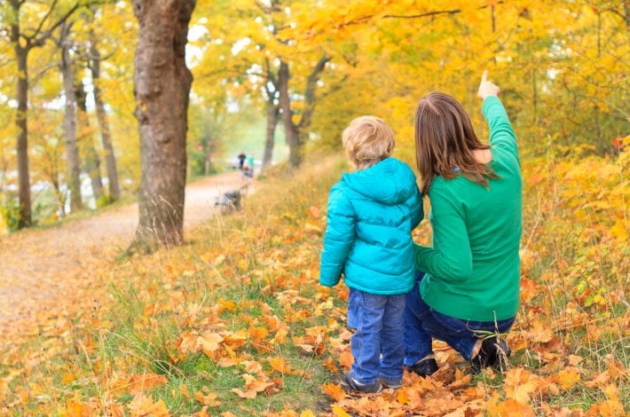 Mother with son pointing distracting him