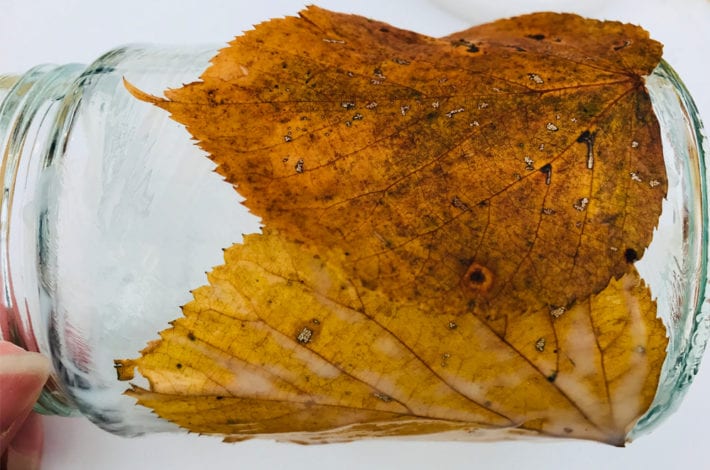 fun kids crafts - awesome autumn leaf lanterns - step 2 build up layers