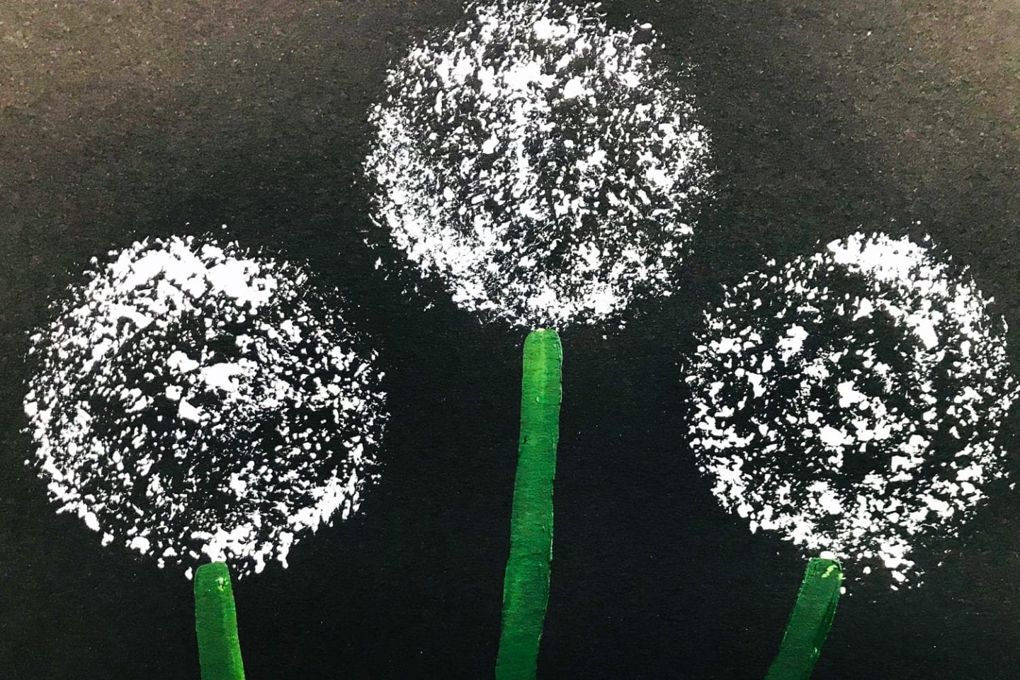 Dandelion sponge prints image