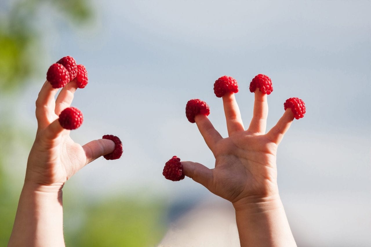 young child with healthy reaspberries on their fingers
