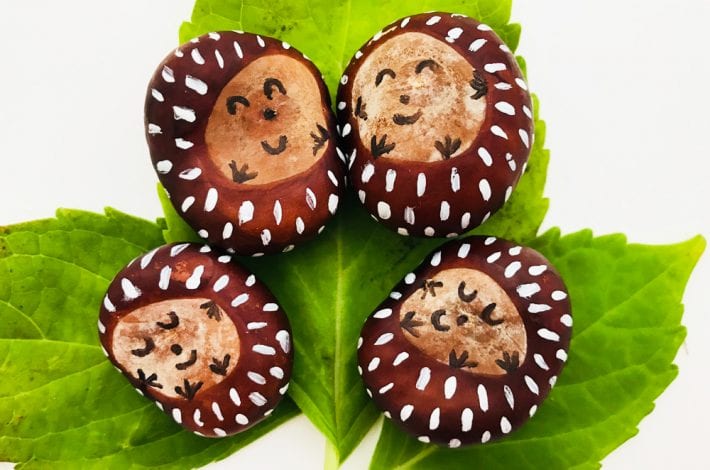 conker craft - cutest conker hedgehogs