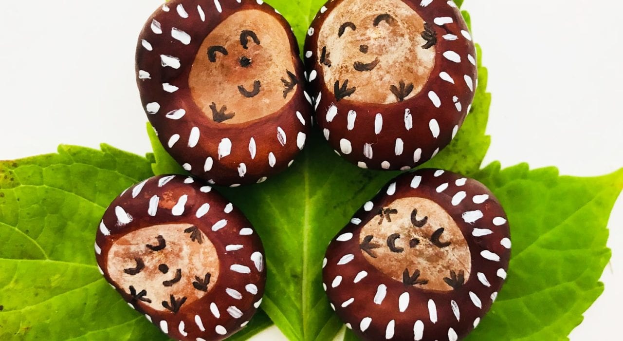 conker craft - cutest conker hedgehogs