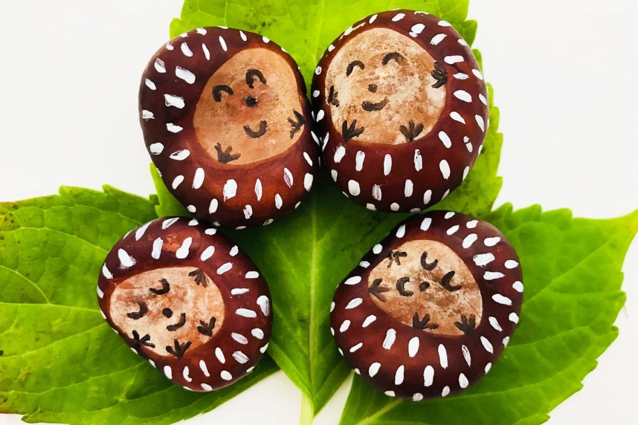 conker craft - cutest conker hedgehogs