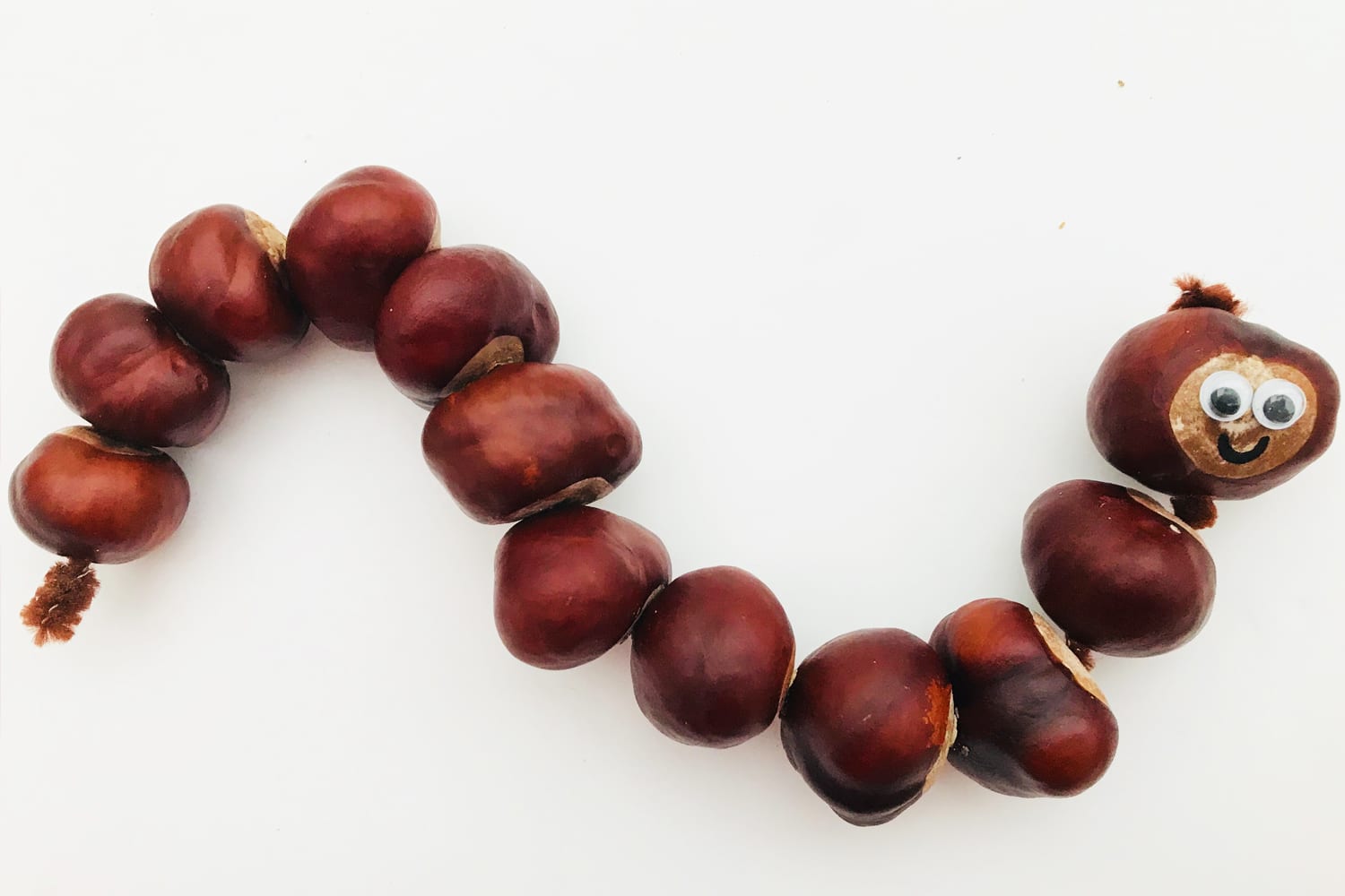 Wriggly wiggly conker snake - Autumn craft - Mas & Pas