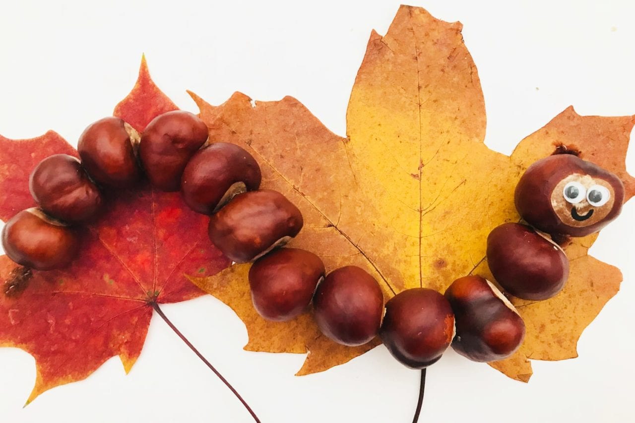 wriggly wiggly conker caterpillar - autumn craft for kid