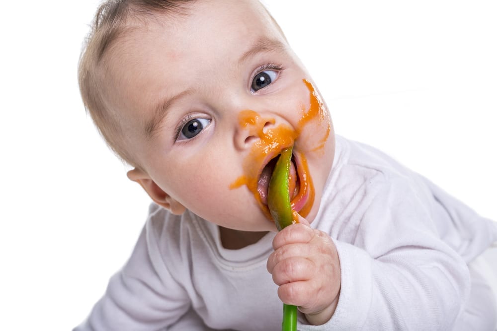 baby led weaning - purees - first foods - wean baby
