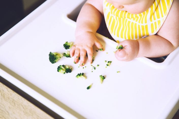 baby led weaning - purees - first foods - wean baby