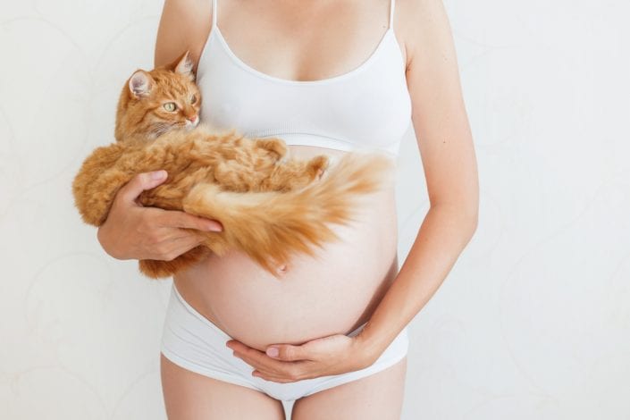 pets in pregnancy - will my pets harm my baby
