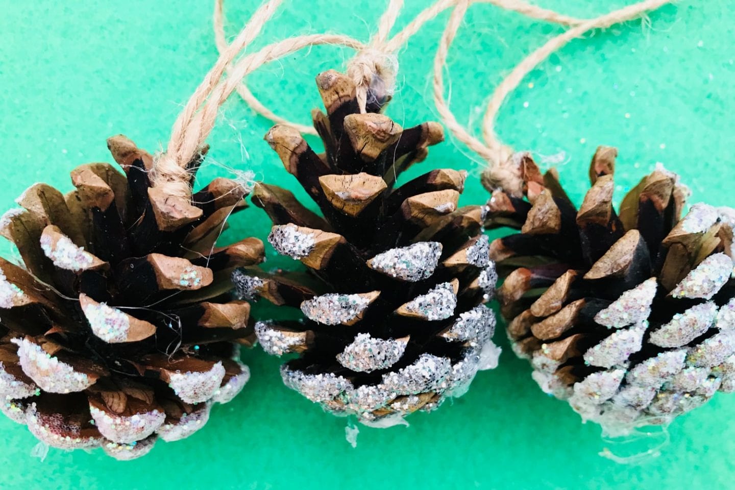 Snowy pine cones image