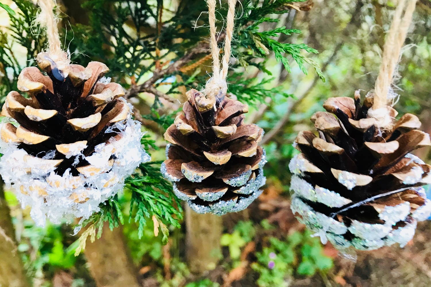 pine cone decorations - Christmas decorations - snowy pine cones