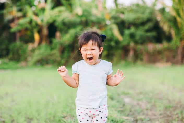 terrible twos - tantrums - toddler tantrums