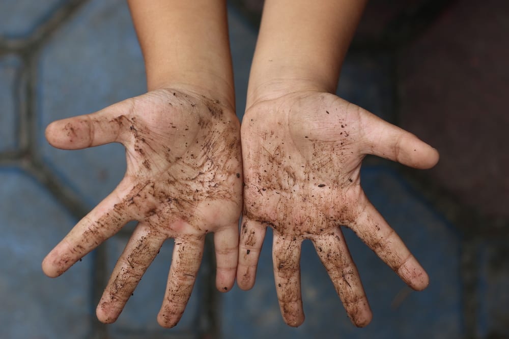Dirt is good for kids - studies advise against immaculately clean homes