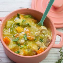 Slow cooker chicken stew for kids - quick and tasty casserole for family dinners