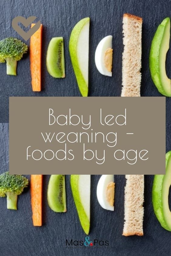 Baby Led Weaning Foods By Age Online Www aikicai
