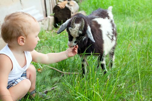 Toddler bonding - try these 10 fun games for dad and toddler bonding - both indoor and outdoor toddler activities