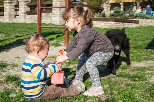 Toddlerhood - how to rock at toddlerhood - a toddler's manual to all the toddler rules