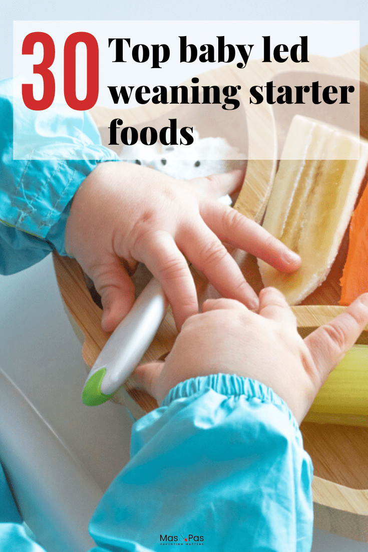 BLW First Foods - 30 Best Baby Led Weaning Starter Foods