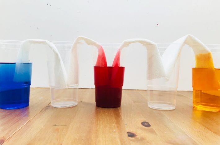 Walking rainbow water experiment for kids - teach kids about capillary action with this fun walking water activity