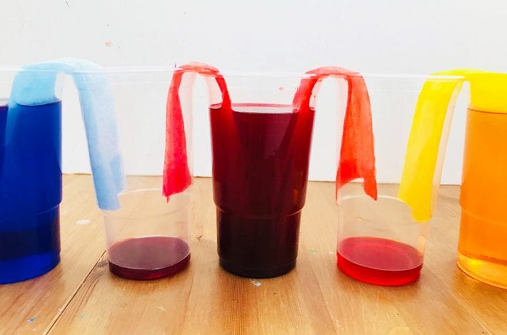 Walking rainbow water experiment for kids - teach kids about capillary action with this fun walking water activity