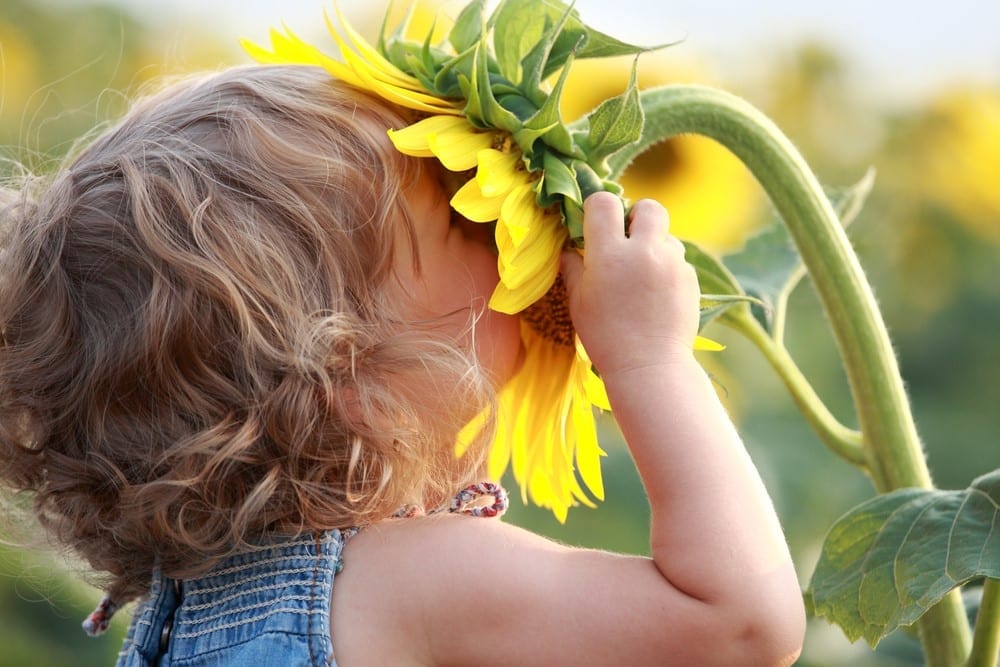 Summer Toddler Activities