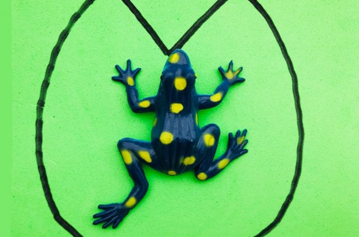 Play this leaping frogs number bonds game to learn those first additions. Practice number bonds to 10 in a fun game.