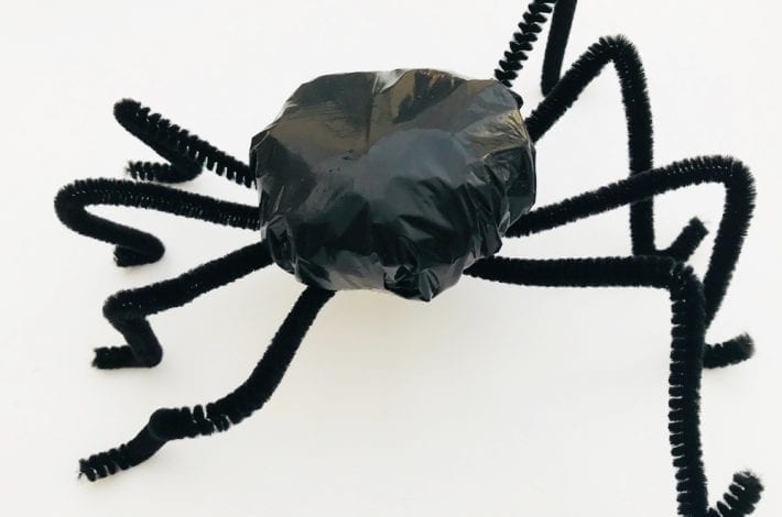 halloween bag of spiders