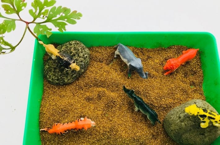 Animal habitat sensory trays for preschoolers- learn about animals and where they live