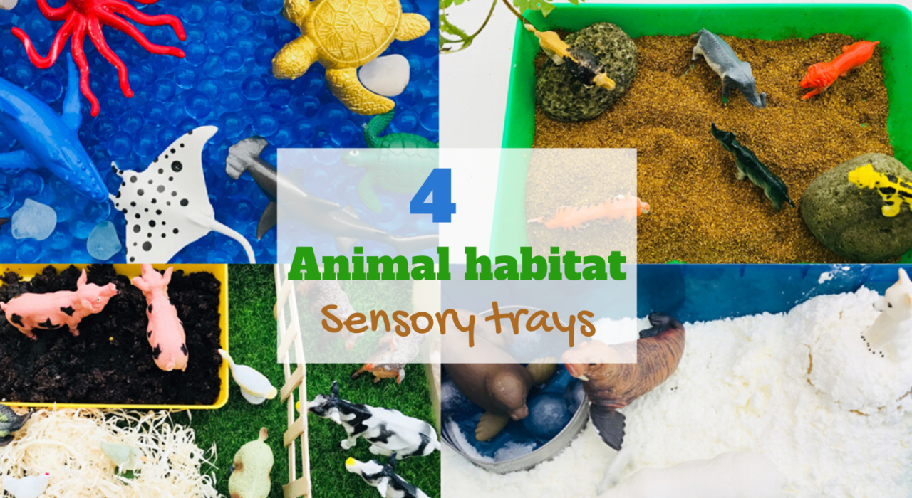 Animal habitat sensory trays for preschoolers- learn about animals and where they live
