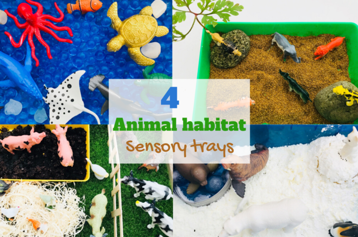 Animal habitat sensory trays for preschoolers- learn about animals and where they live