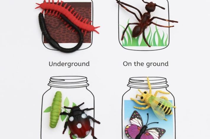 Where do minibeasts live - exploring micro-habitats with early years minibeasts activities with free printables