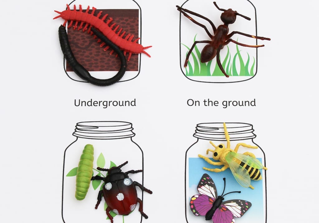 Where do minibeasts live - exploring micro-habitats with early years minibeasts activities with free printables