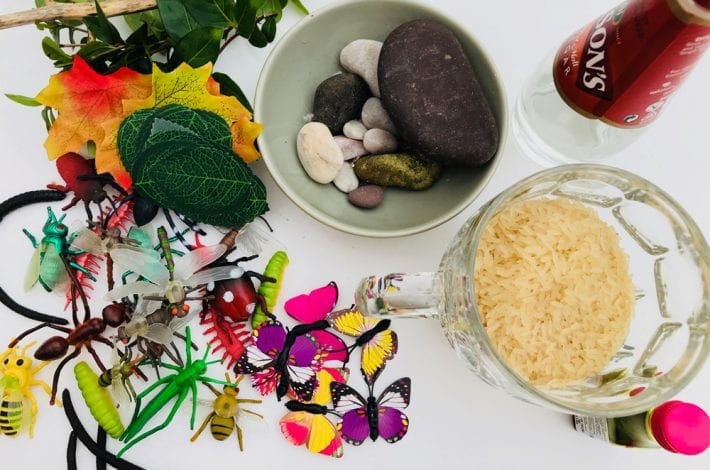 Minibeast sensory tray - make this minibeast activity using dried rice. A great toddler activity to learn about insects.