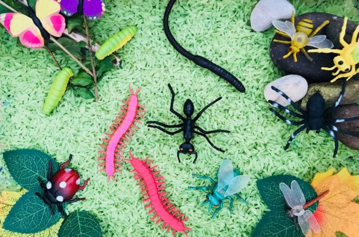 Minibeast sensory tray - make this minibeast activity using dried rice. A great toddler activity to learn about insects.