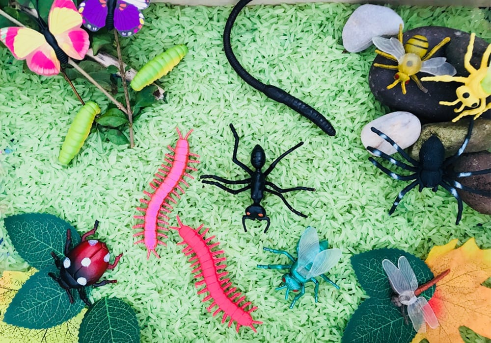 Minibeast sensory tray - make this minibeast activity using dried rice. A great toddler activity to learn about insects.