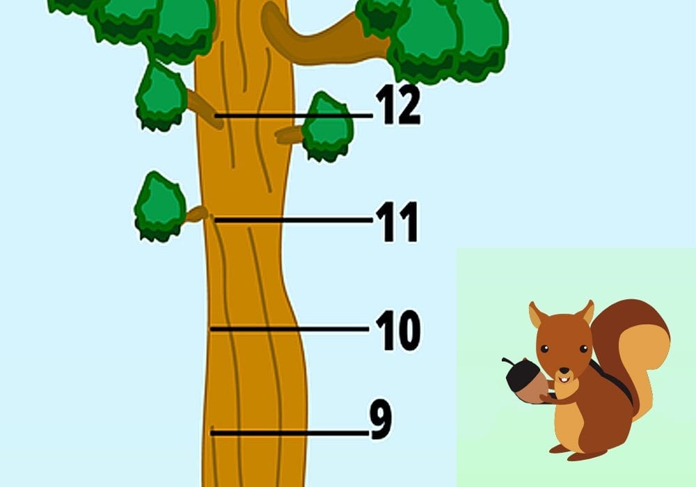 addition activity and number line learning game for kids - roll the dice and add the numbers to learn first number bonds
