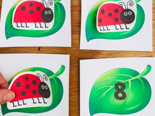 Ladybird Counting Activity | Playtime Learning