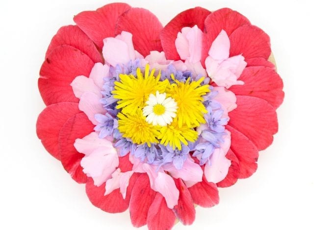 Flower petal art for kids - nature crafts for kids - flower paintings