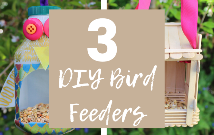 3 Easy Hanging Bird Feeders | Kids Activities