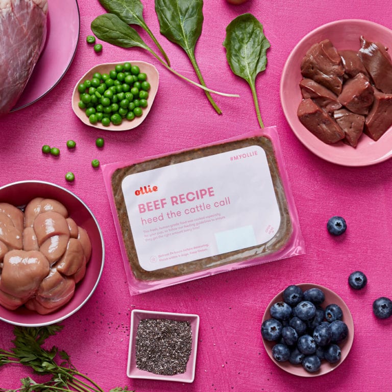 Ollie vs Pet Plate Review Should you Switch to Fresh Dog Food?