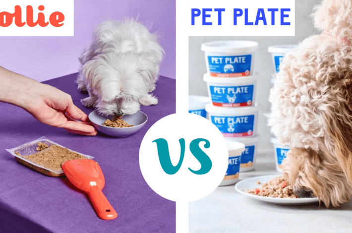 best fresh dog food delivery service - ollie meals review - my ollie review