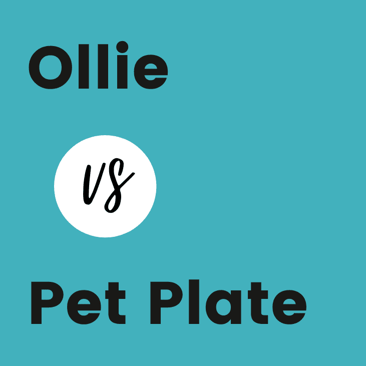 Ollie vs Pet Plate Which is the Best Fresh Dog Food Delivery Service?