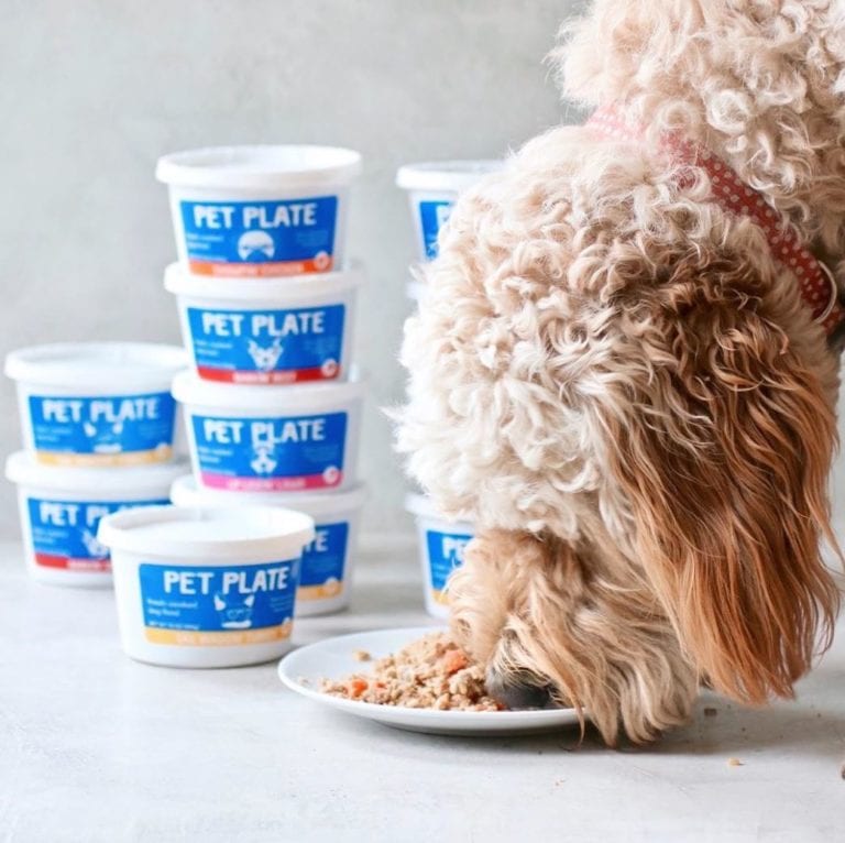 Ollie vs Pet Plate Review Should you Switch to Fresh Dog Food?