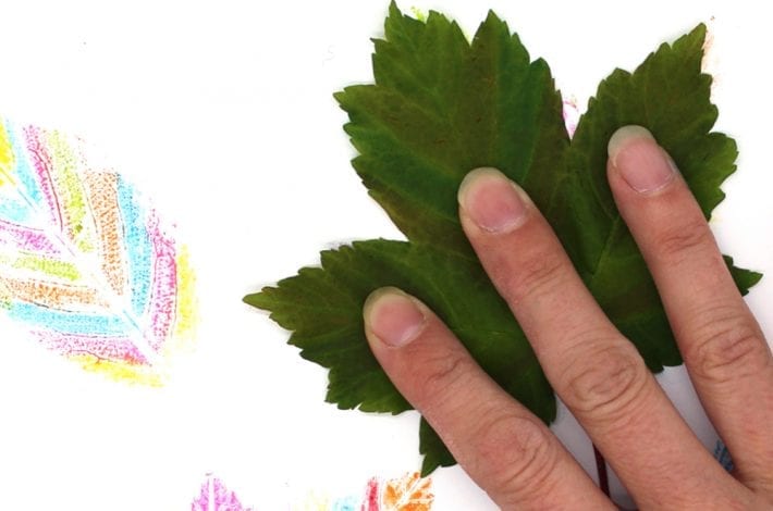 Leaf printing - two ways - make leaf print paintings with felt pens or paints