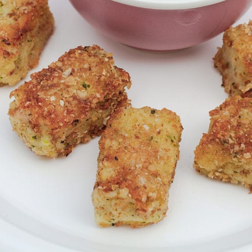 Broccoli and Carrot Tots Toddler Meals