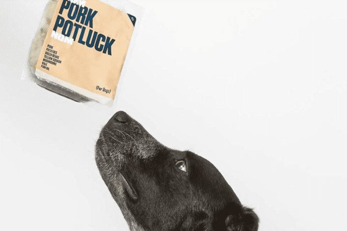 Nom Nom dog food review - dogs enjoy it