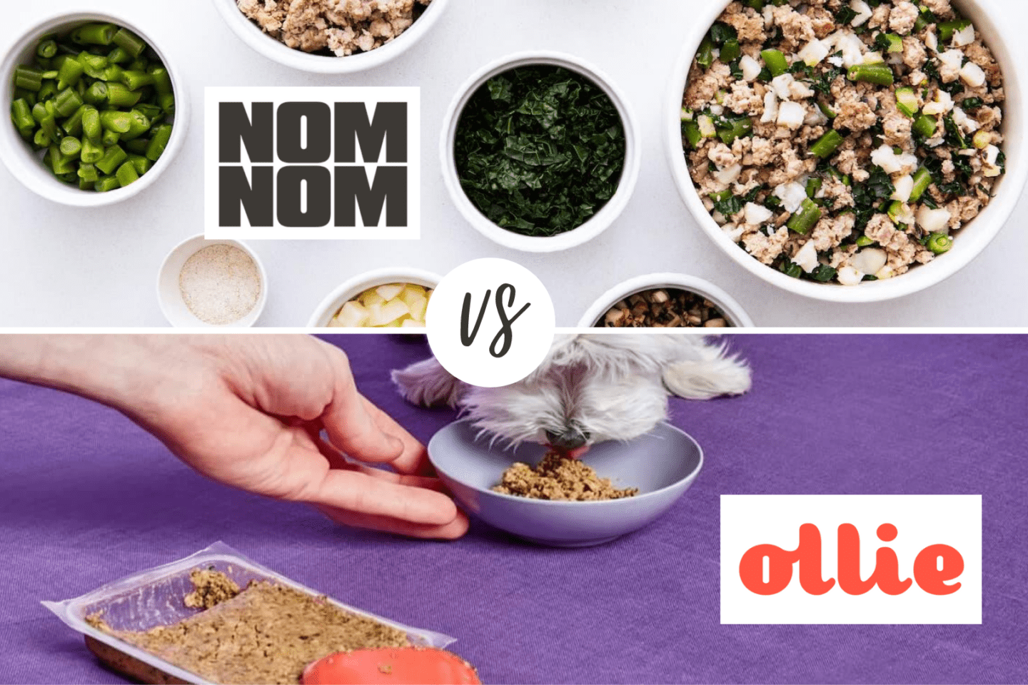 Nom Nom vs Ollie: Which Fresh Dog Food is Better? image