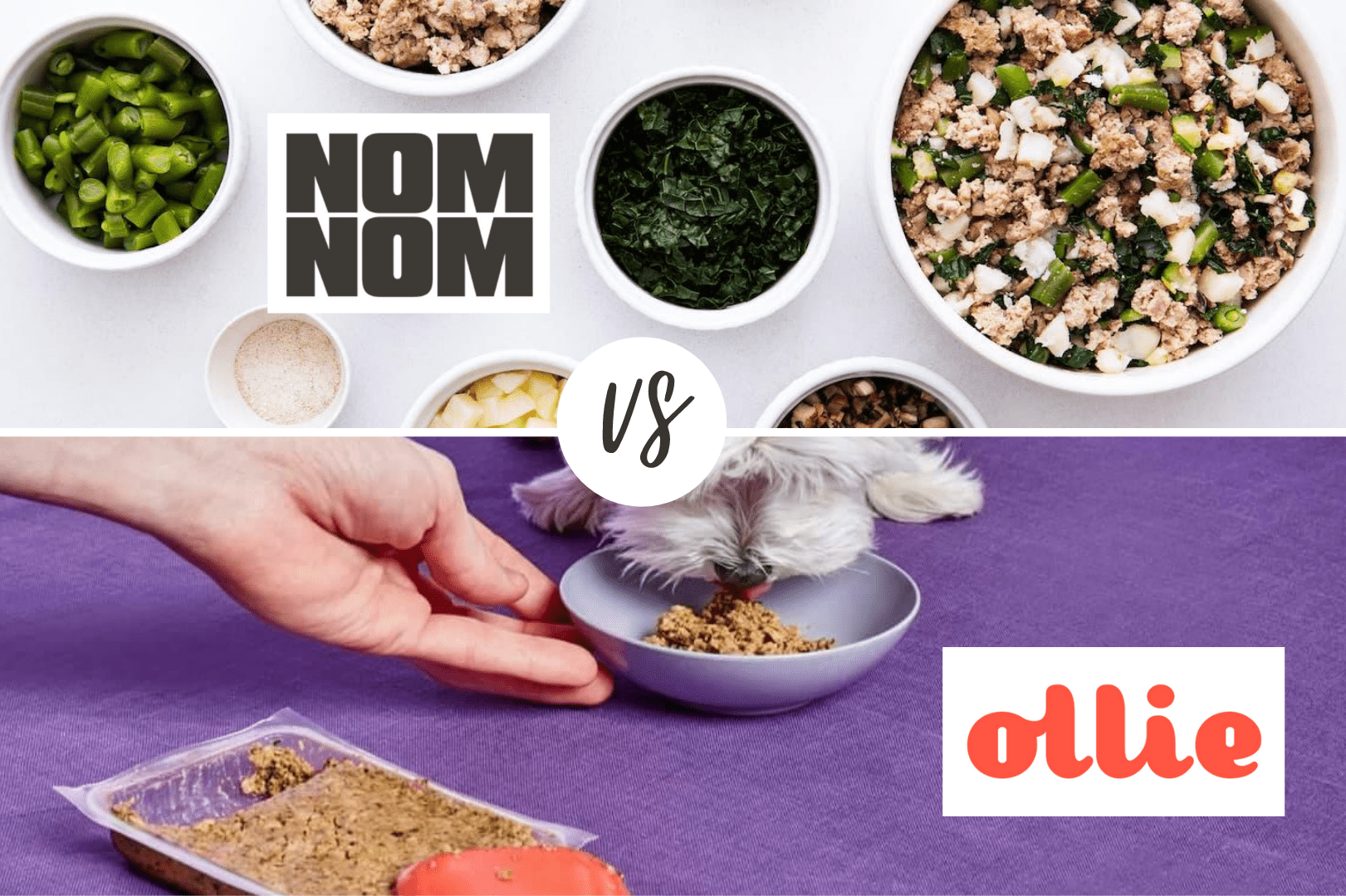 Nom Nom vs Ollie Which Fresh Dog Food is Better?